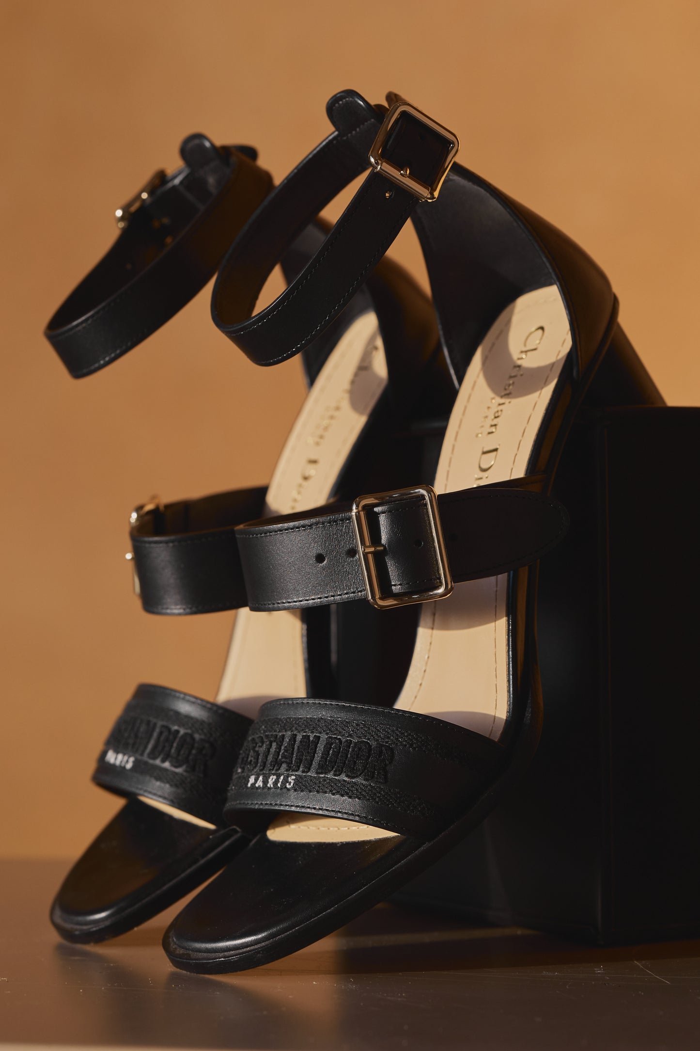 Dior Dway Heeled Sandals