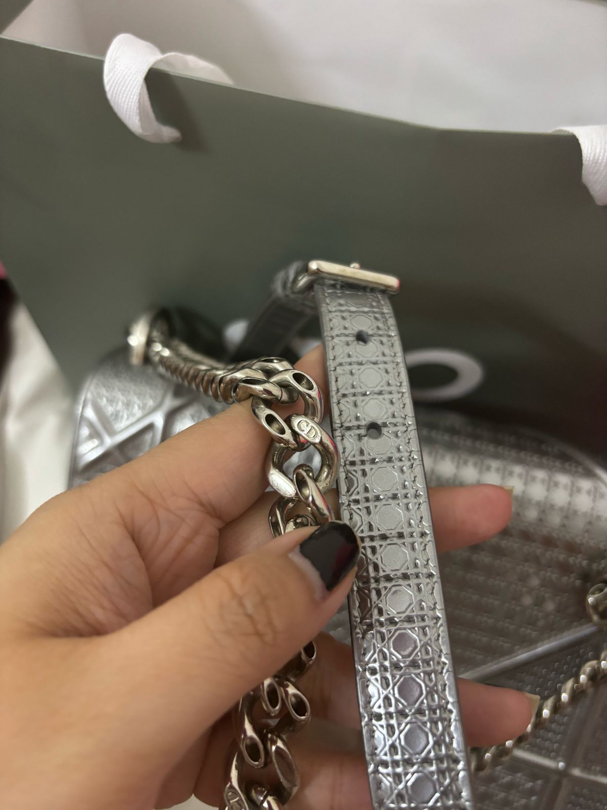 Dior Diorama Metallic Silver Shoulder Bag