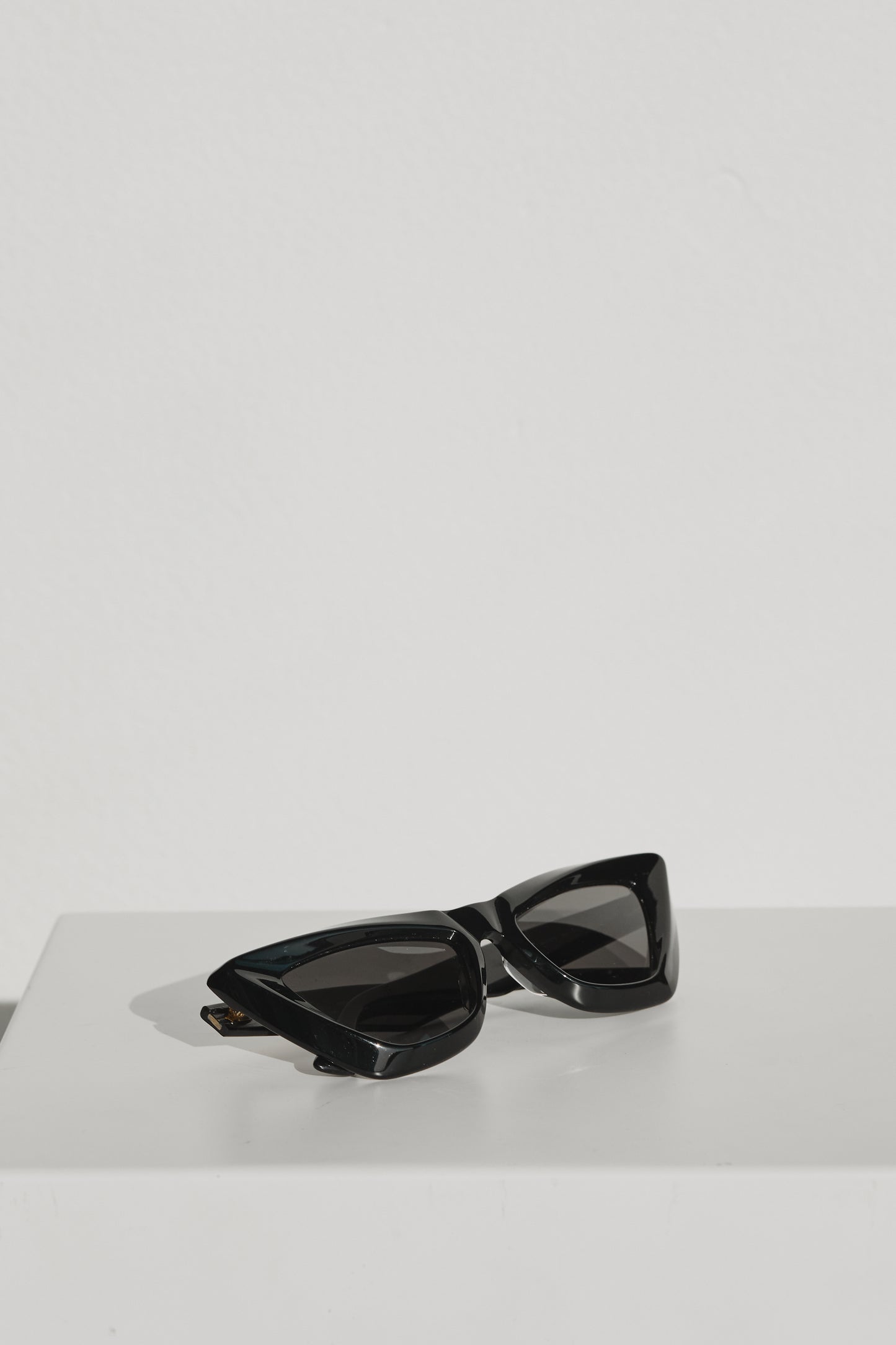 Bottega Veneta Cat-Eye Sunglasses
