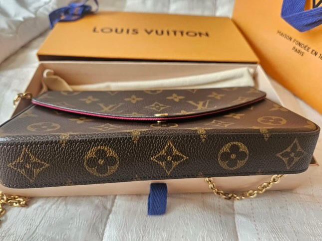 Louis Vuitton Pochette Félicie in Monogram Canvas