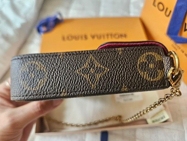 Louis Vuitton Pochette Félicie in Monogram Canvas